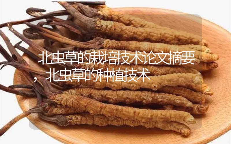 北蟲草的栽培技術論文摘要，北蟲草的種植技術