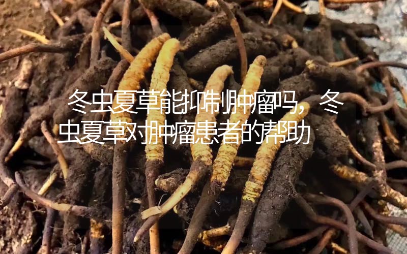 冬蟲夏草能抑制腫瘤嗎？冬蟲夏草對腫瘤患者的幫助