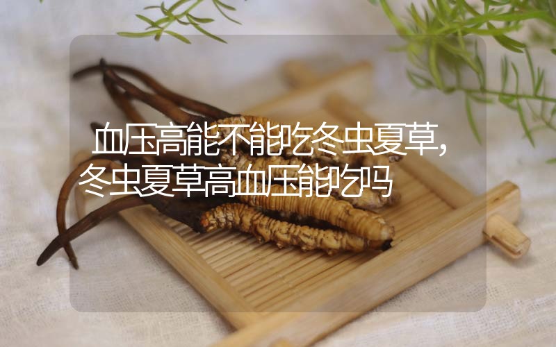 血壓高能不能吃冬蟲(chóng)夏草，冬蟲(chóng)夏草高血壓能吃嗎？