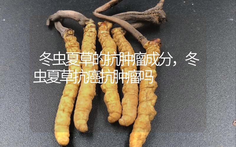 冬蟲夏草的抗腫瘤成分，冬蟲夏草抗癌抗腫瘤嗎？