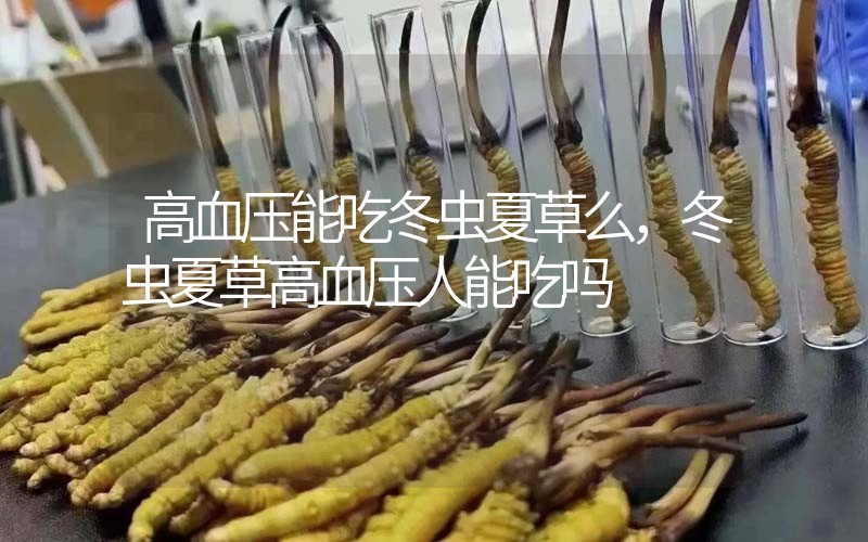 高血壓能吃冬蟲夏草么，冬蟲夏草高血壓人能吃嗎