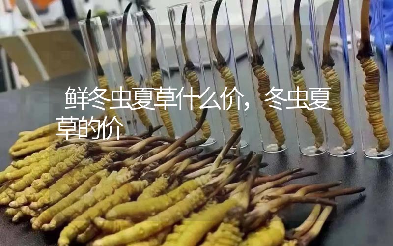 鮮冬蟲(chóng)夏草什么價(jià)，冬蟲(chóng)夏草的價(jià)格