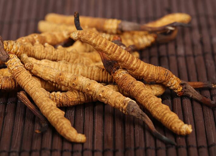 什么樣的冬蟲夏草算是優(yōu)質(zhì)的？