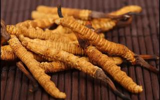 藏地直銷(xiāo)冬蟲(chóng)夏草究竟多少錢(qián)？