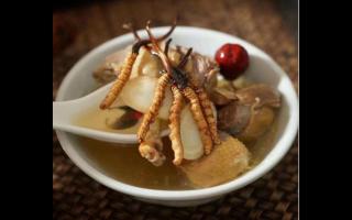 燉煮冬蟲(chóng)夏草需要注意哪些要點(diǎn)？