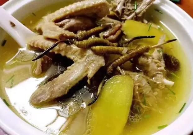 冬蟲夏草和哪些食材可以一起煲湯？