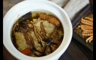 冬蟲夏草怎么食用？解鎖滋補養(yǎng)生的正確打開方式