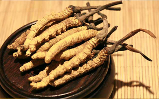 未來(lái)冬蟲(chóng)夏草會(huì)漲價(jià)嗎？