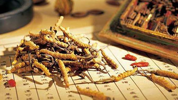 同仁堂健康冬蟲夏草：傳承品質(zhì)，饋贈健康