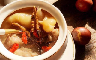 冬蟲夏草與什么泡水喝？養(yǎng)生搭配指南