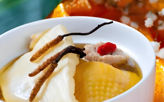 冬蟲夏草每天什么時候吃最好？一文詳解最佳食用時間
