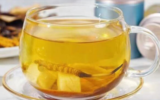 冬蟲夏草煮水用什么
