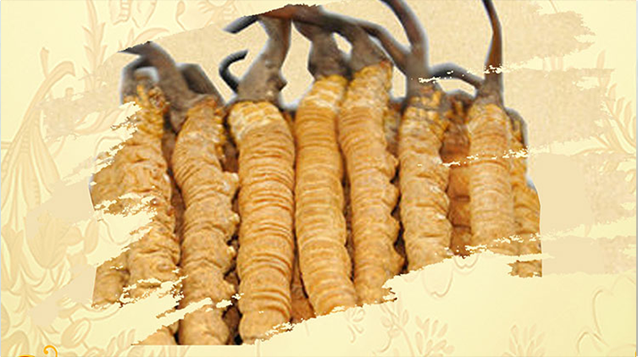 <a href=http://www.ztjchainan.com/ target=_blank class=infotextkey>冬蟲夏草</a>夏天如何保存
