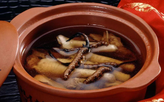 糖尿病可服用冬蟲夏草嗎？科學(xué)解析其調(diào)理價(jià)值與注意事項(xiàng)