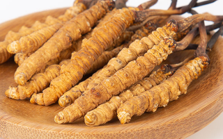 冬蟲夏草，真有那么大效果？