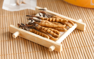 冬蟲夏草老鴨湯怎么燉？鮮香滋補的詳細(xì)做法與技巧